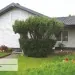 Сайдинг Ю-Пласт TIMBERBLOCK Ель (Тимберблок), Скандинавская купить в Твери